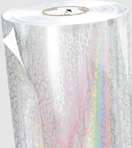 Fracture Holographic